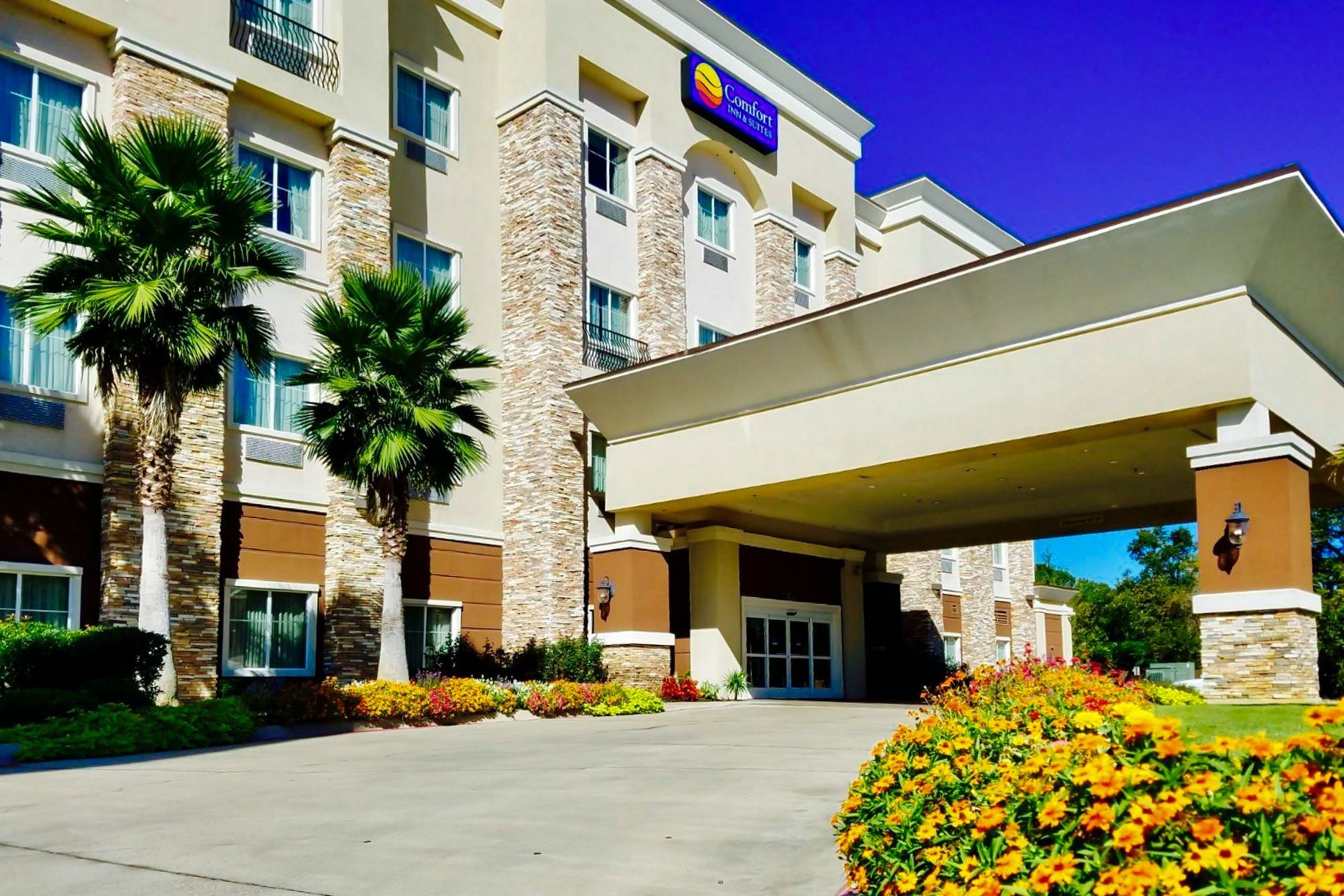 Comfort Inn & Suites Longview Exterior foto